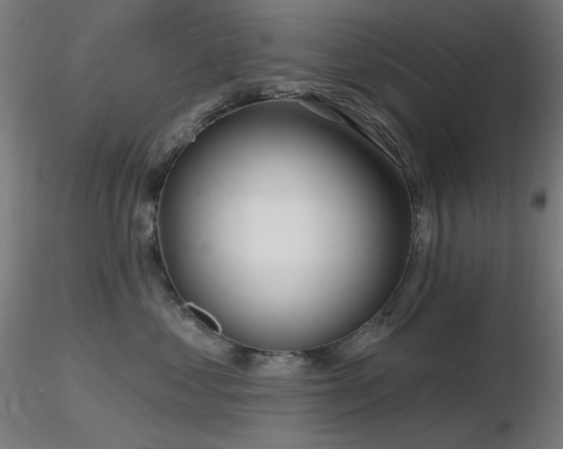 X0000116810621200912181346