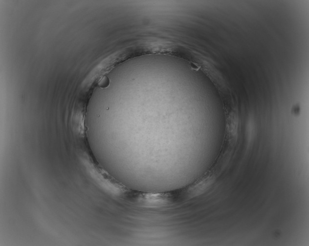 X0000116810622200912181346