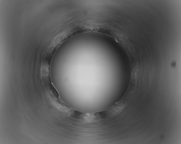X0000116810623200912181346