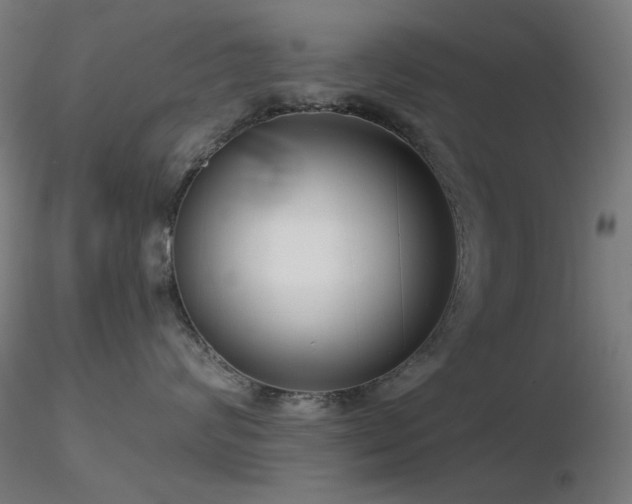 X0000116810624200912181346
