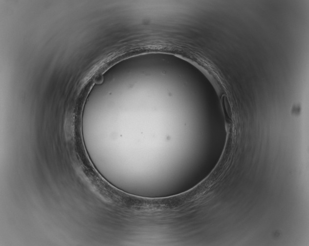 X0000116810626200912181345