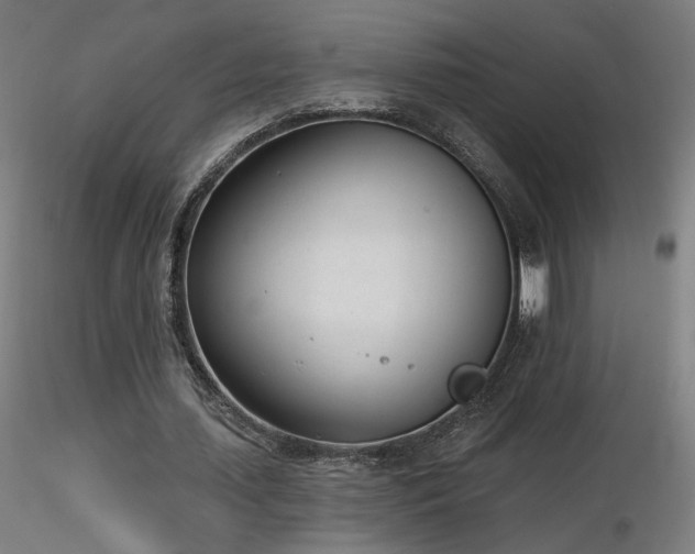 X0000116810627200912181345