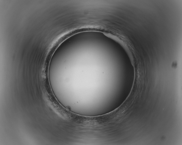 X0000116810628200912181345