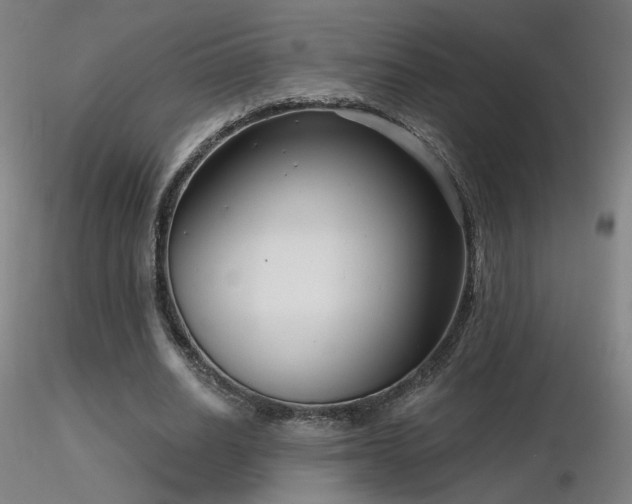 X0000116810630200912181345