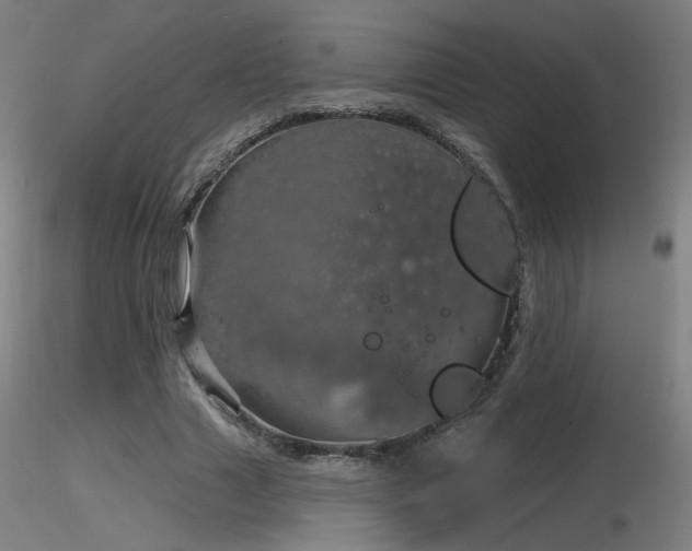X0000116810633200912181345