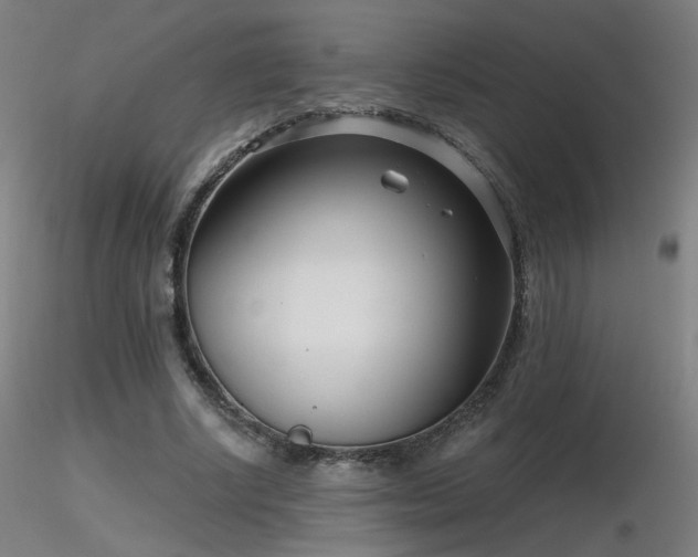 X0000116810634200912181345