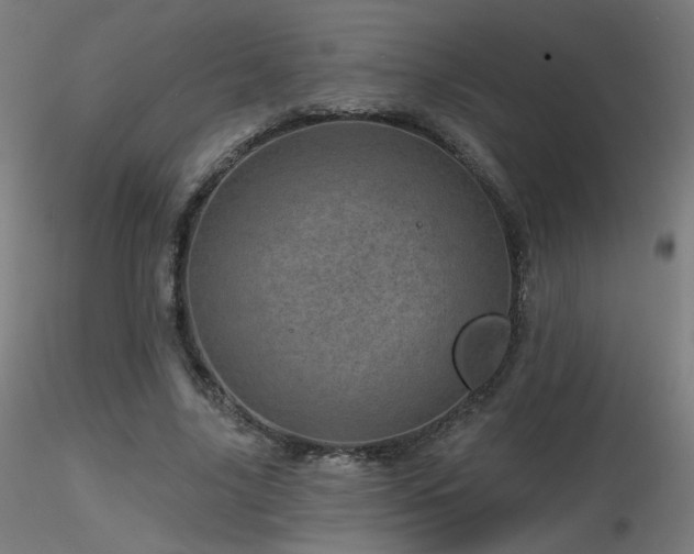 X0000116810635200912181345
