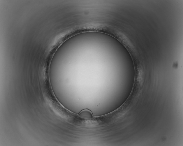 X0000116810636200912181345