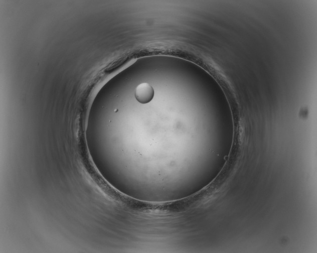 X0000116810637200912181345