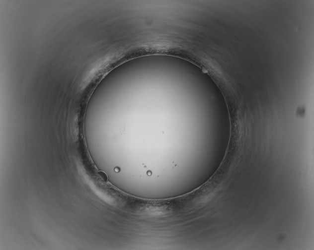 X0000116810638200912181345