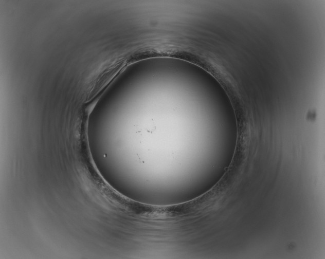 X0000116810639200912181346