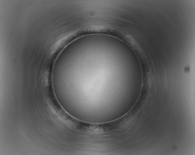 X0000116810640200912181346