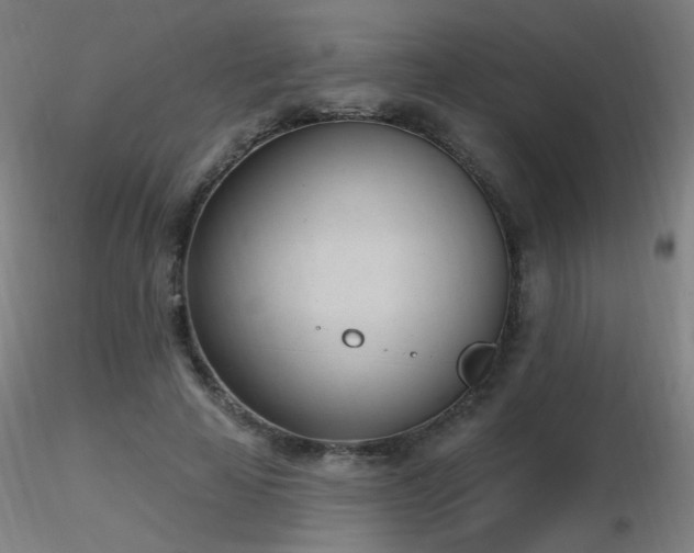 X0000116810641200912181346
