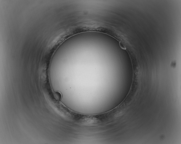 X0000116810642200912181346
