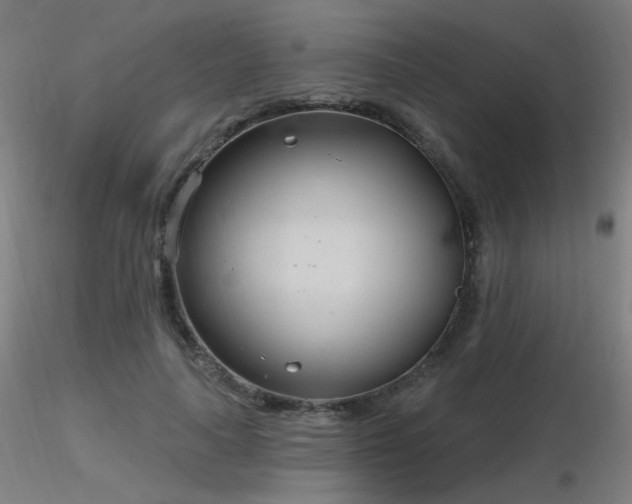 X0000116810643200912181346