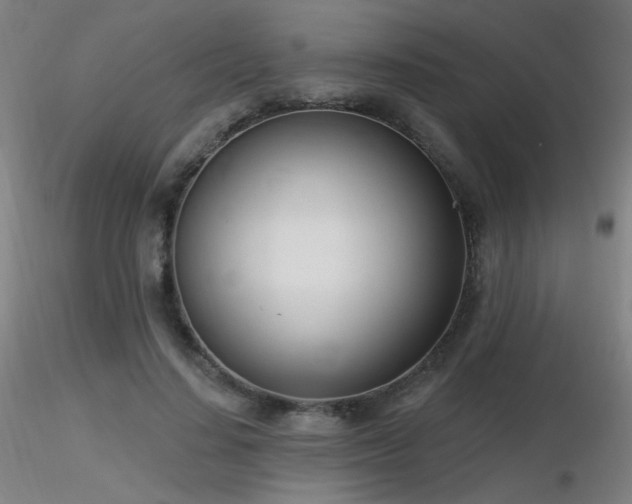 X0000116810644200912181346