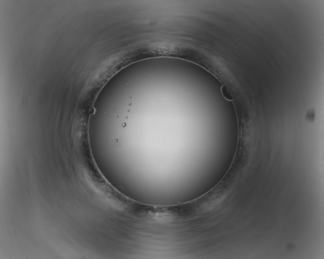 X0000116810645200912181346