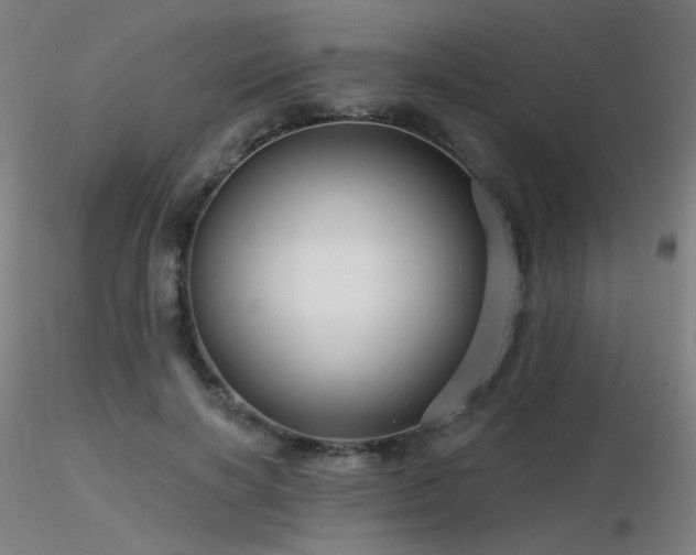 X0000116810646200912181346