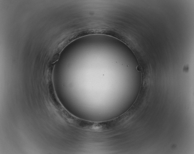 X0000116810647200912181346
