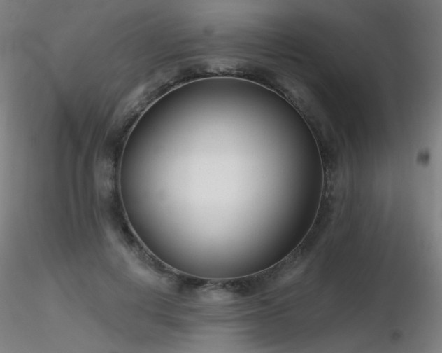 X0000116810648200912181346