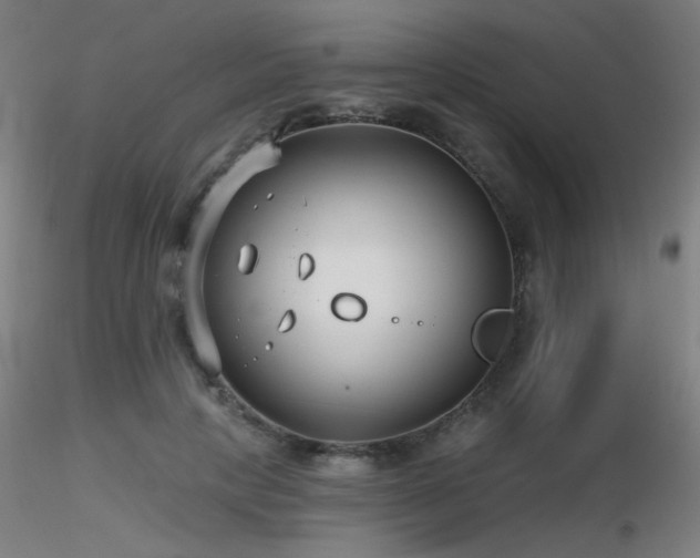 X0000116810649200912181346