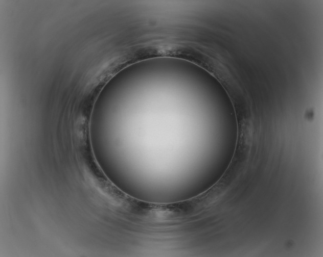 X0000116810650200912181346