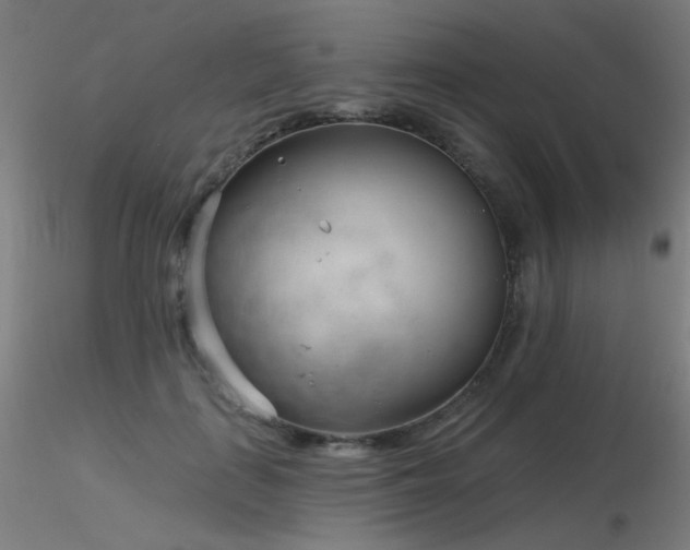 X0000116810651200912181346
