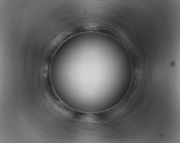 X0000116810652200912181346