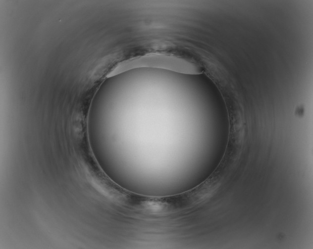 X0000116810654200912181346