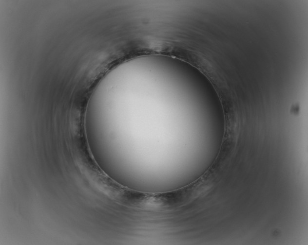 X0000116810656200912181346