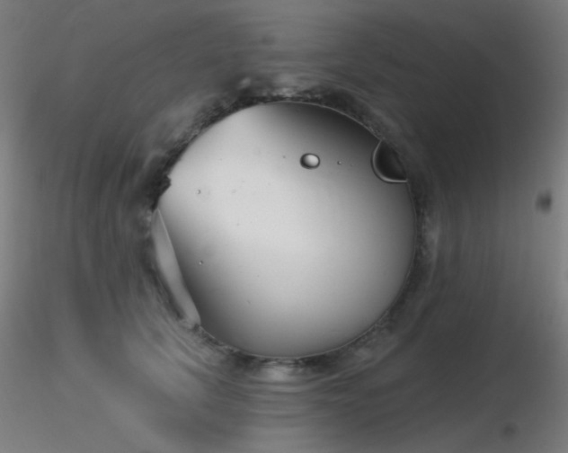 X0000116810657200912181346