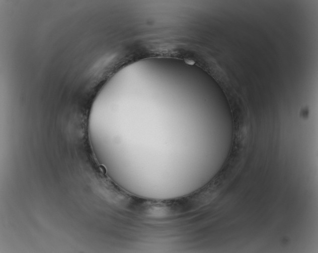 X0000116810658200912181346