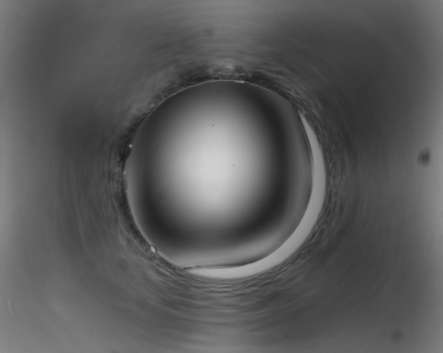 X0000116810659200912181346