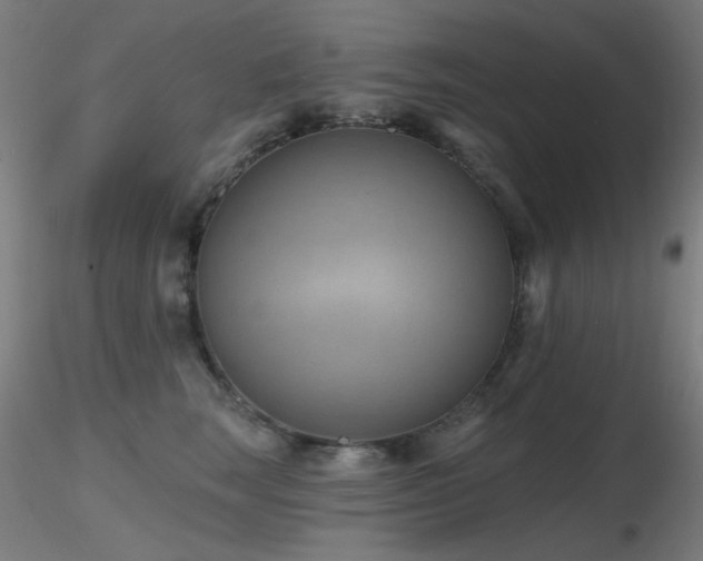 X0000116810663200912181346
