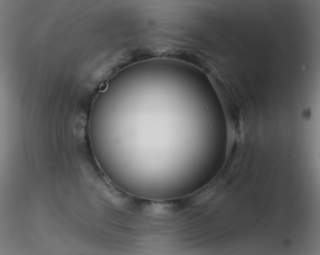 X0000116810664200912181346