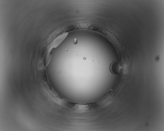 X0000116810665200912181346