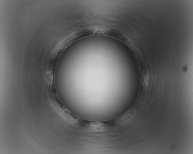 X0000116810666200912181346