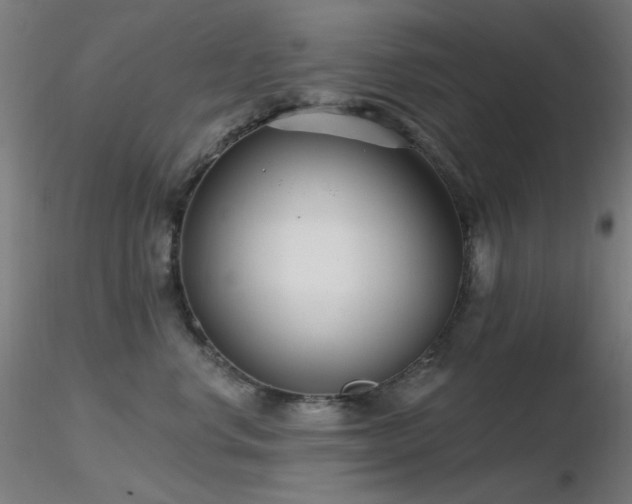 X0000116810668200912181346