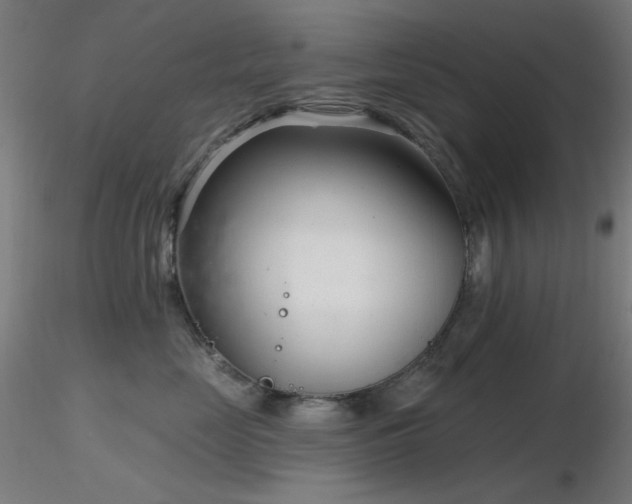 X0000116810669200912181346