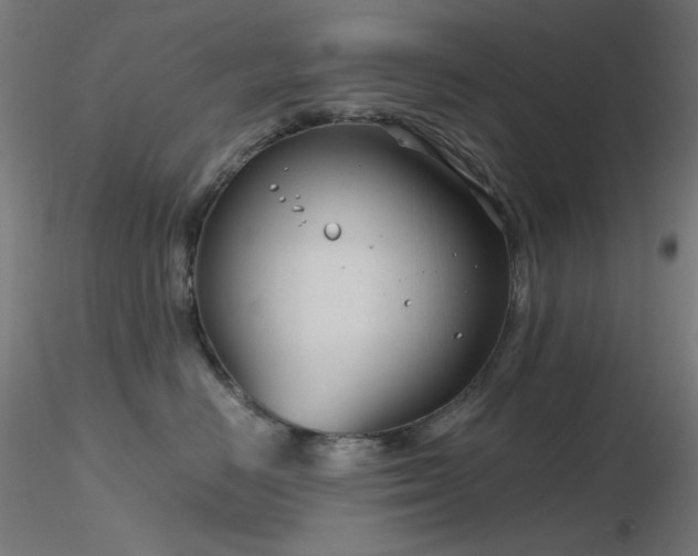 X0000116810670200912181346