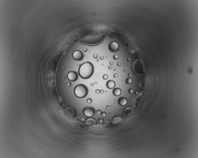 X0000116810671200912181346