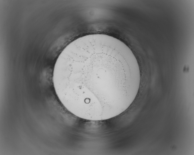 X0000116810672200912181346
