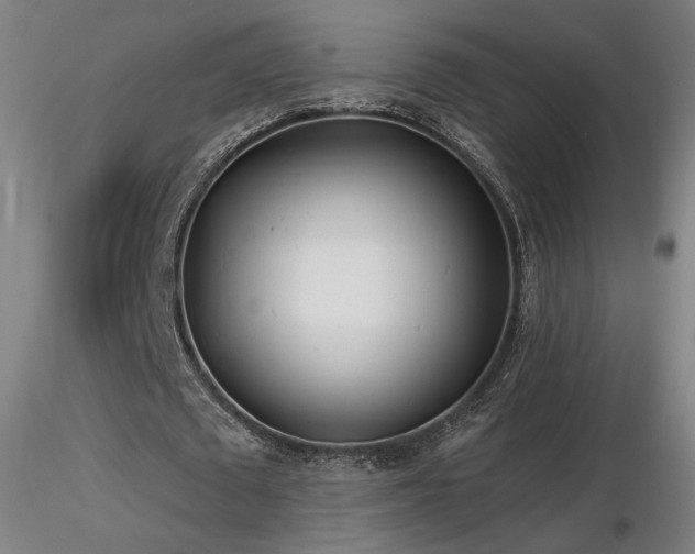 X0000116810673200912181345