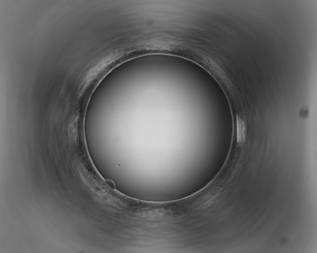 X0000116810675200912181345