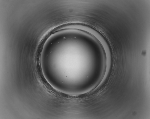 X0000116810676200912181345