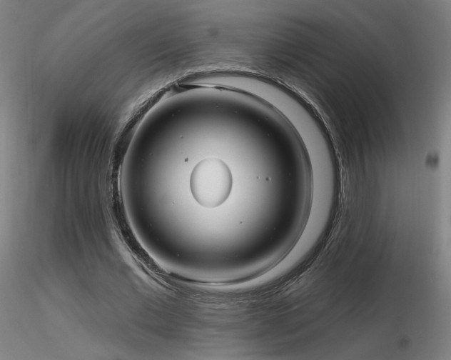 X0000116810677200912181345