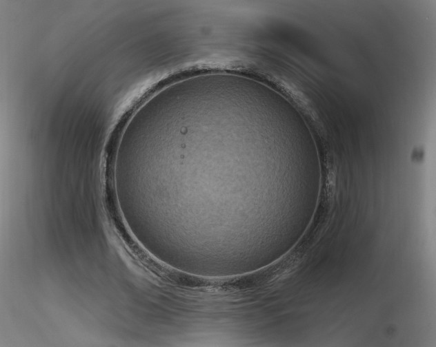 X0000116810678200912181345
