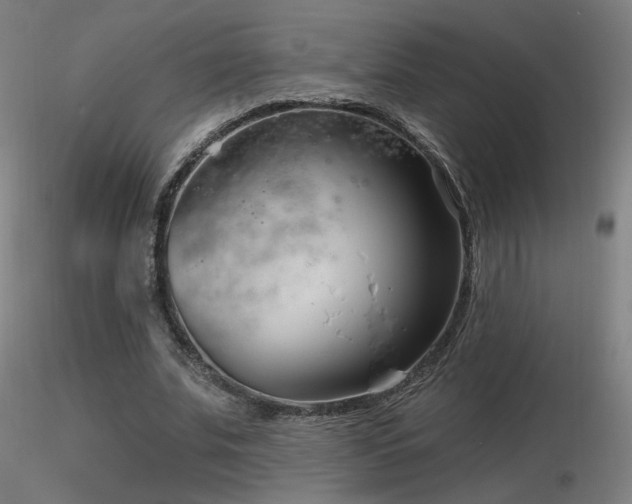 X0000116810679200912181345