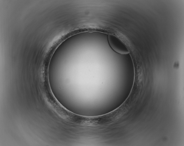 X0000116810680200912181345