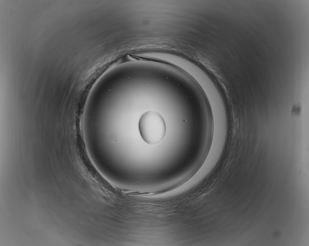 X0000116810681200912181345
